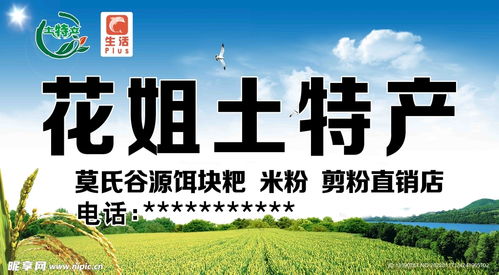 土特产门头广告设计指南 关键要素与创意灵感